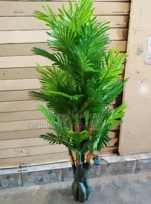 3ft Height Palm Flower Plant