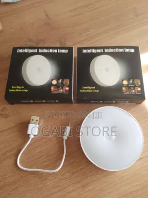 Intelligent Induction Lamp