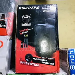 Worldking 8” Inches Rechargeable Public Address System Speaker, 2 Mic