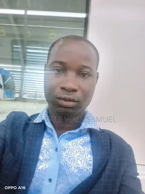 Mr Odewale Wale