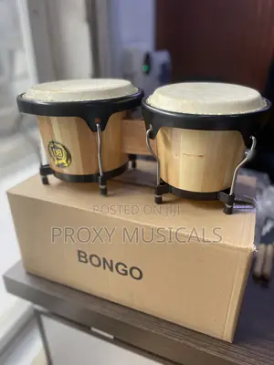 Db Bongo Drum
