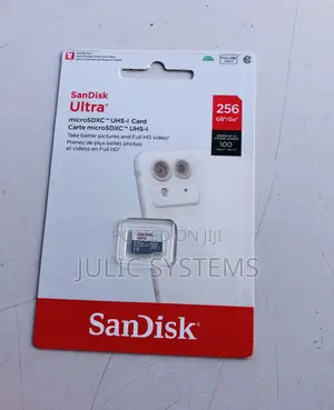 Sandisk Ultra 256gb