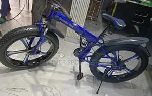 Fat Tyre Bicycle