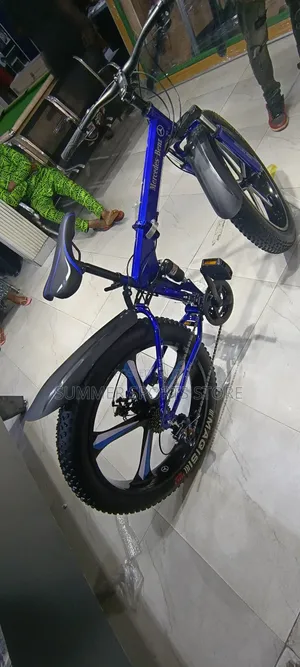 Luxury Fat Tyre Bicycle