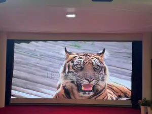 Bright Attractive Indoor Led Screen Module