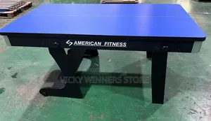 2 In 1 Snoker Board With Table Tennis Board