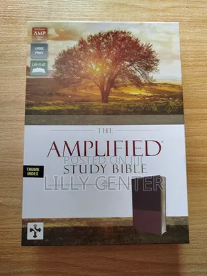 Amplified Thumb Index Study Bible