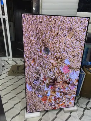 55 Lg Oled 4k Ultra Hdr Smart Tv With Hands-free Voice Control
