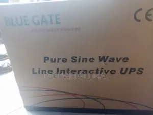 Blue Gate Line Interactive Ups 4kva