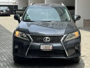 Lexus RX 2010 Gray