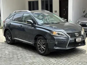 Lexus RX 2010 Gray