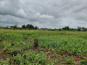 30ft by 120ft Ikotun Iguando Rd Close to the Road
