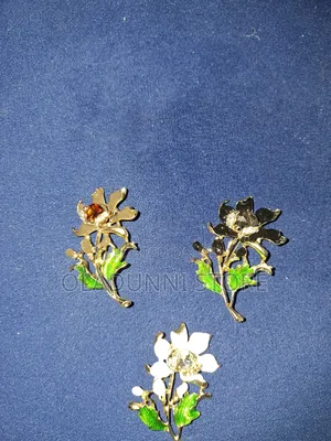 Brooches Clip