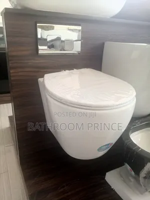 Luxury White Conceal Water Closet
