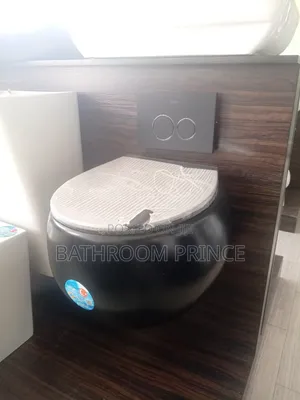 Executive Round Black Conceal Water Closet