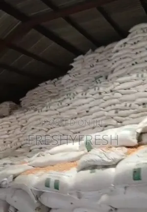 White and Yellow Maize