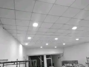 Suspended Ceiling