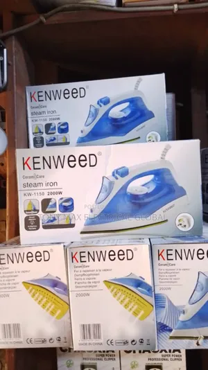 Iron Electric Stainless Steam