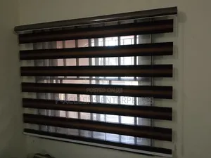 Window Blinds Curtains