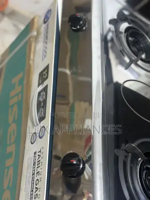 Thermocool Burn Buddy 2-Burner Gas Cooker in Stainless Steel