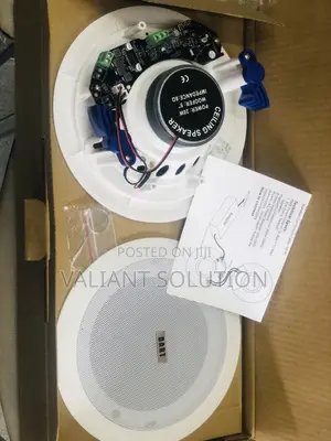 Bluetooth Ceiling Speakers