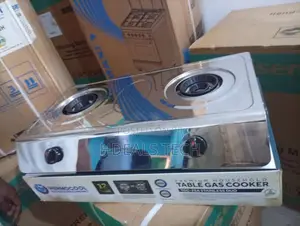 Easy Cooking Haier Thermocool Two-Burner Cooker