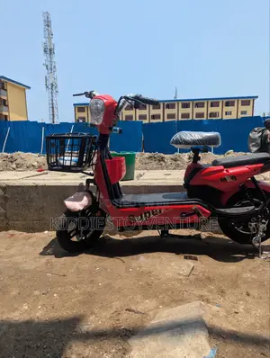 Electric Bikes Fat Tire China Adult Lead Acid Electric Bike