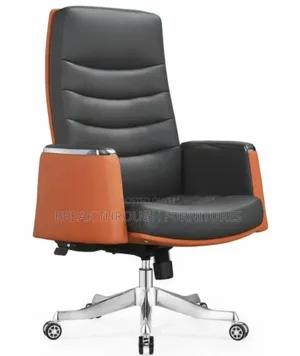 Executive Office Chairs