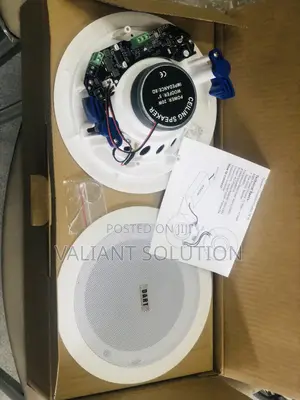 Ceiling Speaker Bluetooth