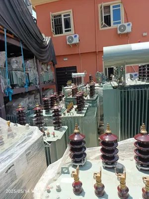 100kva/33kv/400v Massive Auto DTS Power Transformer