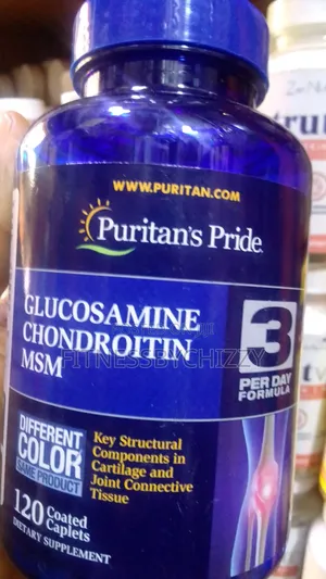 Puritan's Pride Glucosamine Chondroitin MSM X 120 Capsules
