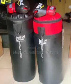 Everlast Punching Bag With Boxing Gloves