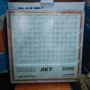 150w Security Light