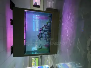Massive Aquarium Tank