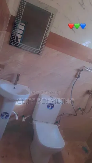 Professional Plumber