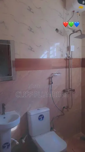 Professional Plumber