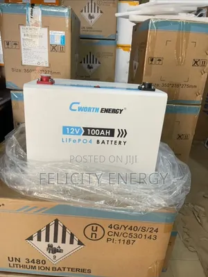 C Worth Energy Lithium Battery 100amps 12v