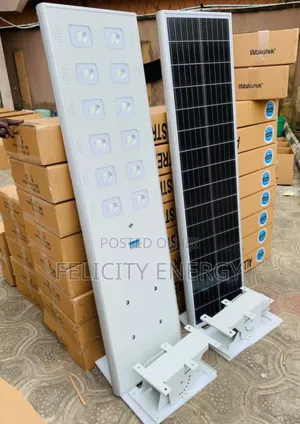 Wakatek All in One Solar Street Light 100watt