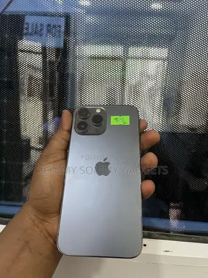 Apple iPhone 13 Pro Max 128 GB Gray