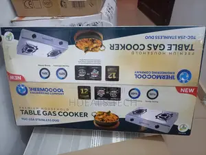 Haier Thermocool Power Flame Duo