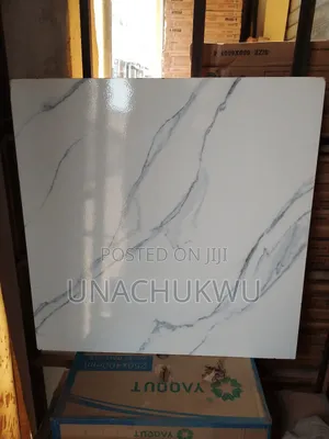 60/60 Glazed Tiles White and Blue Pattern