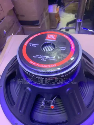 15" Naked Speaker