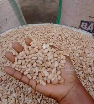 Premium Bag of Beans