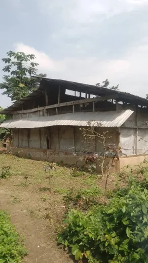 A Poultry Farm on 1 Acre of Land at Abudoro Olorunda Abaa,Ibadan