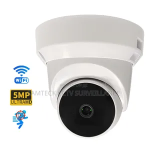 Ip Wifi Smart Dome Camera