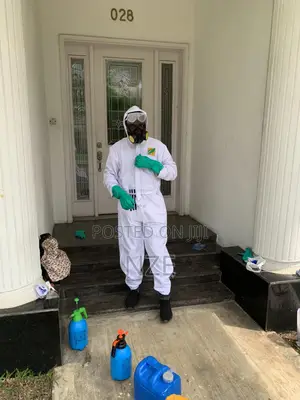 Mold Treatment Specialist