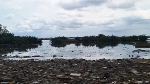 For Sale: The Largest Waterfront in Woji, Port Harcourt