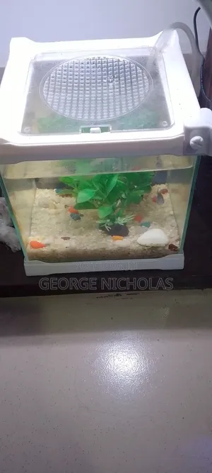 Aquarium Fish Tank