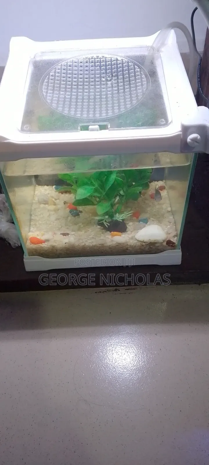 Aquarium Fish Tank