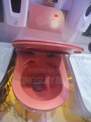 Pink Wall Hung Toilet
Sitting